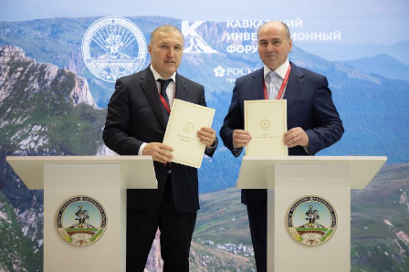 КИФ-2025: Соглашение с фирмой «Мамруко».